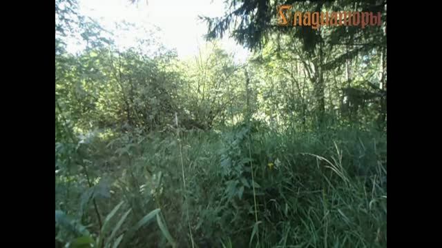 Сергей Знаменский - ГЛАДИАТОРЫ 