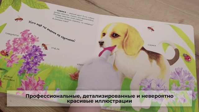Домашние животные