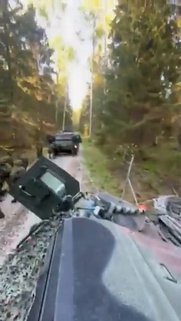 Эстонская розведка сообщала: у них проблемы в лесу !!! С добрым утром  !!!