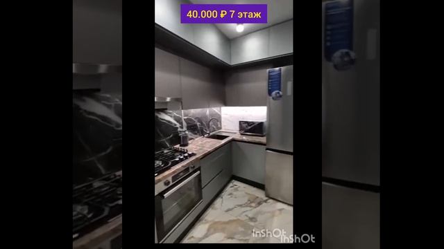 80536.mp4