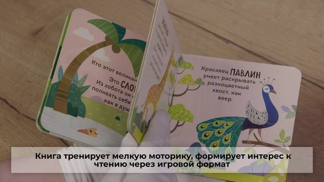 Дикие животные
