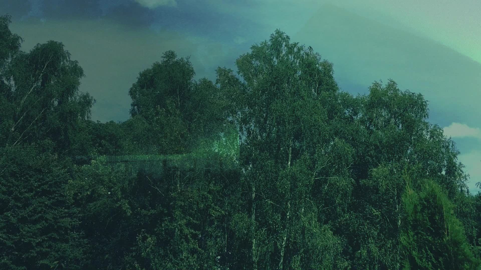 Ветер