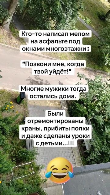 Юмор