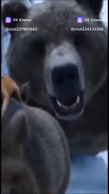 1000005903.mp4