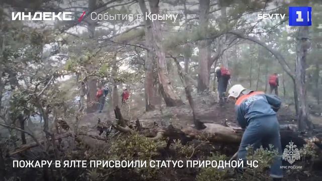 Пожару в Ялте присвоили статус природной ЧС