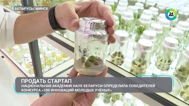 Импортозамещенные кактусы и спасение коров от жары. Какие разработки предложила молодежь?