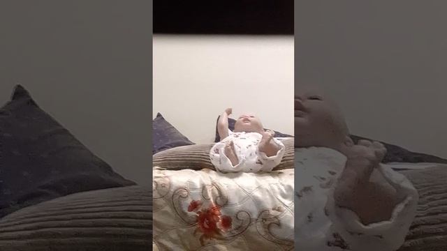 София не слушается вечер с софией