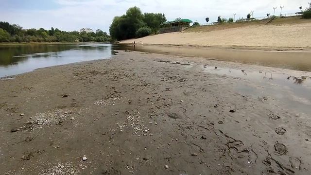 Кольвенко: Днестр продолжает мелеть ниже Дубоссар, и обнадеживающих перспектив нет.