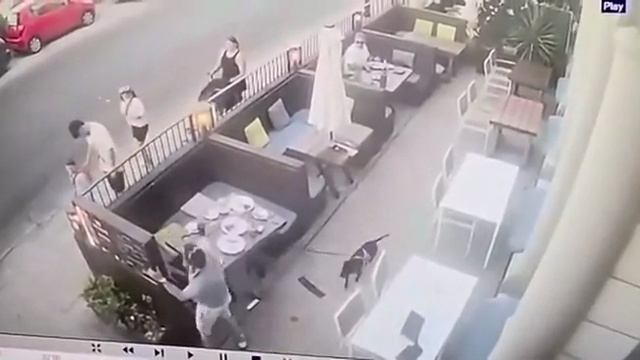 Не делится едой!!
