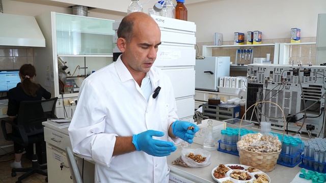 В Белгородской испытательной лаборатории проверили безопасность орехов