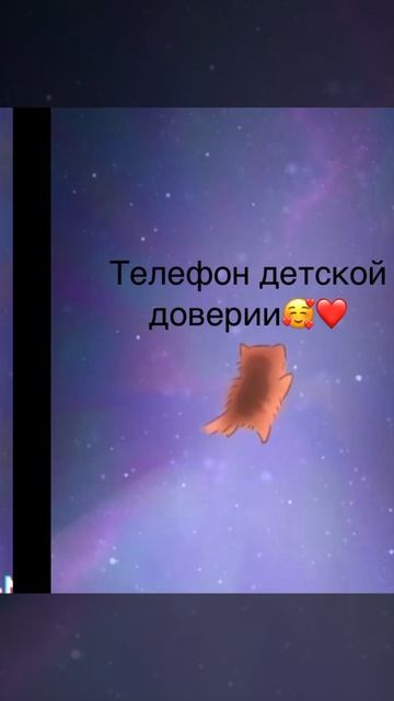 И сделала коротенькое видео ради вас мои котята пока не пришла мама