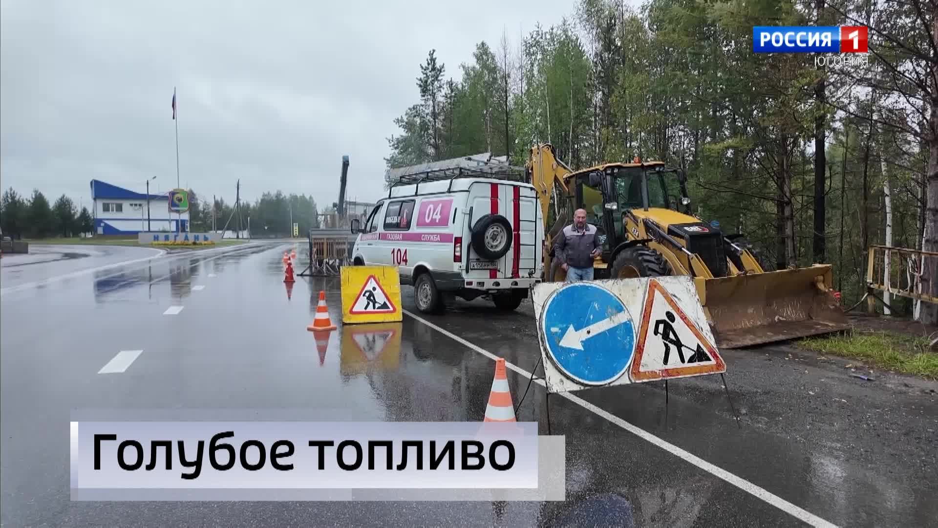 Live: 