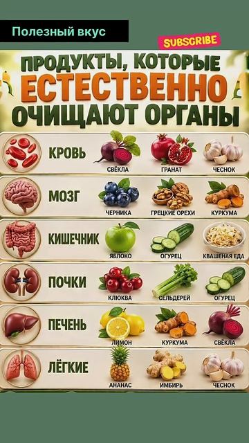 Организм сам очищается? 10 продуктов, которые поддерживают естественную детокс-систему👤 Полезный в