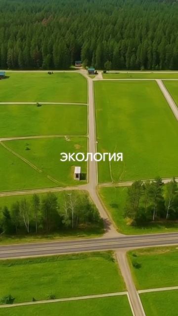 А что выберешь ты?