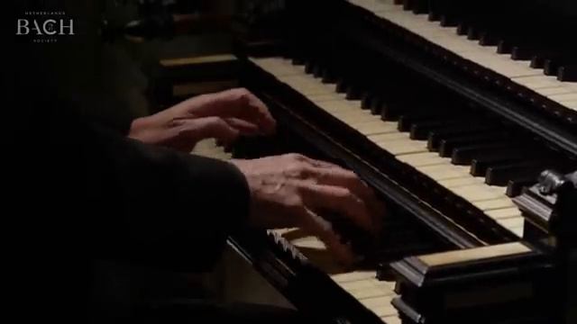 Bach - Sinfonia From Cantata BWV 29 Netherlands Bach Society