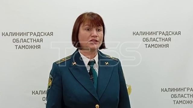 Ящерицы, изъятые у россиянки в пункте пропуска Мамоново-2