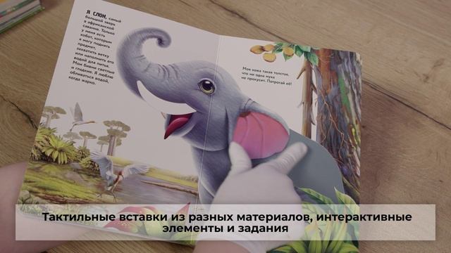Рассмотри и погладь (панда)