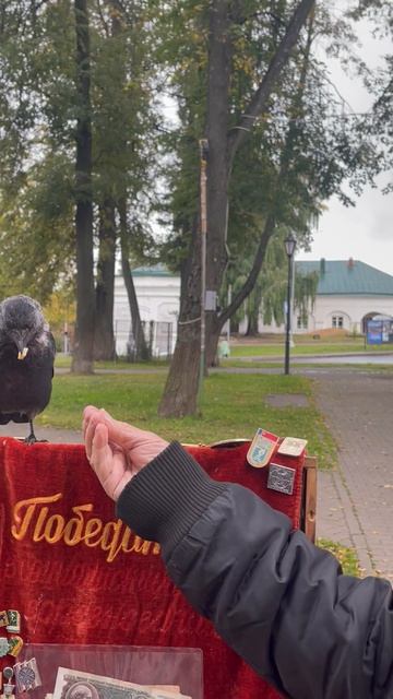 Кеша - любитель сыра: Кострома
