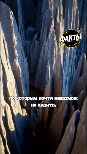 10 фактов часть 88