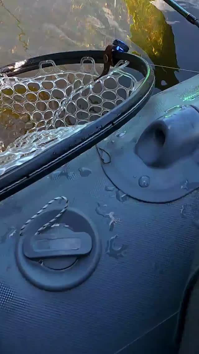 Вот это подача!!!  #shorts  #рыбалка #fishing #голавль #chub #fish #спиннинг