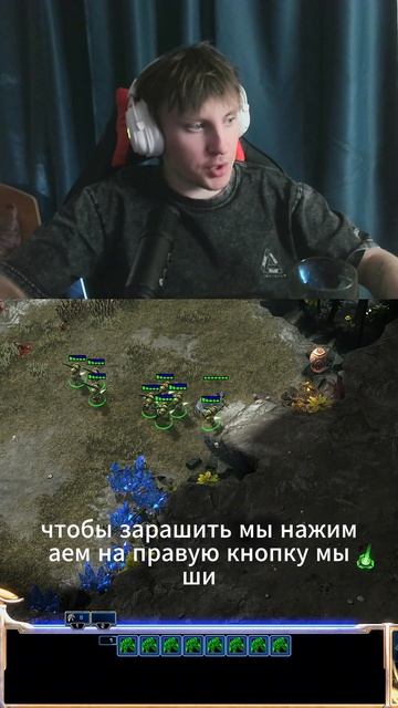 dccentr23 starcraft2 starcraft starcraftbroodwar