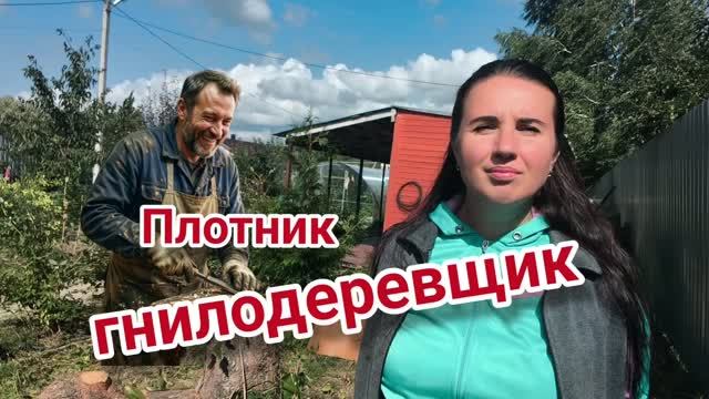 Моя новая профессия. Плотник-гнилодеревщик.