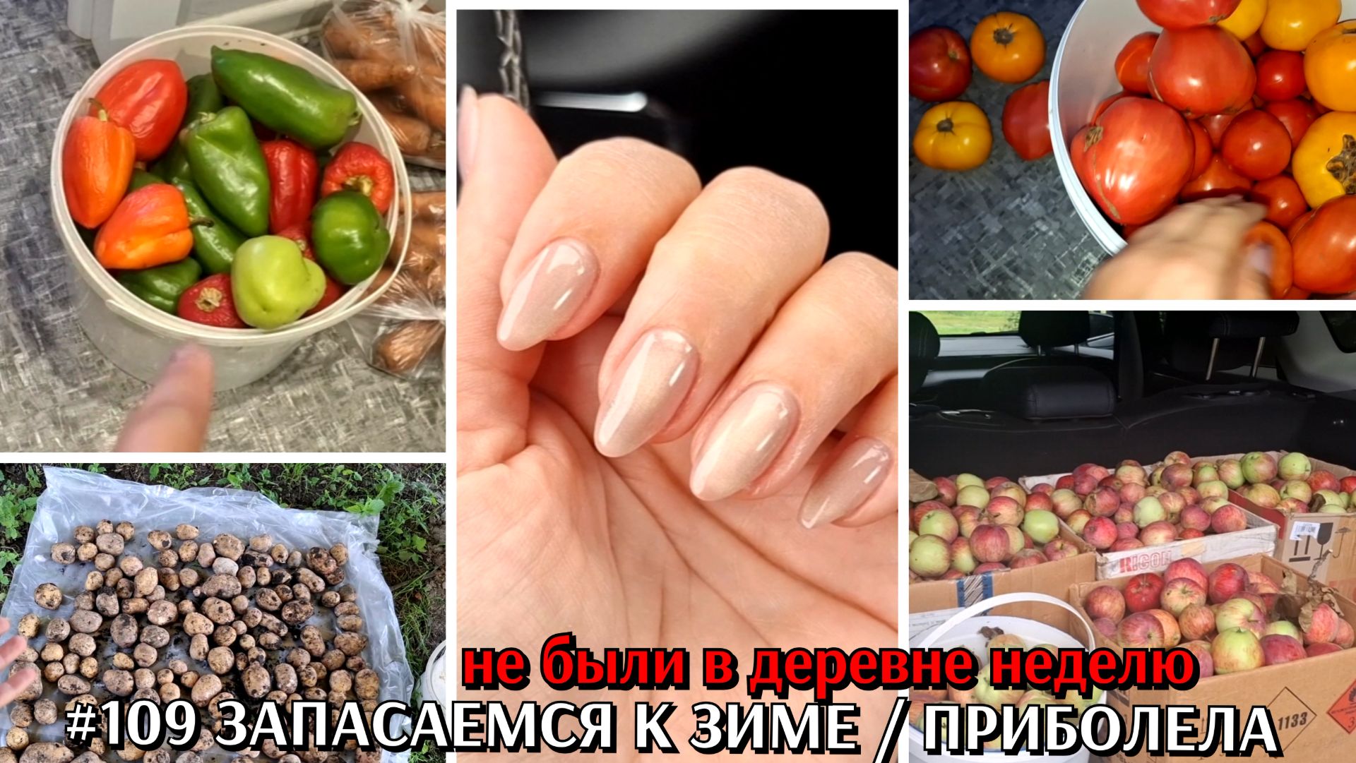 109 ДО и ПОСЛЕ ДР Сони  запасаем картошку и лук укроп и петрушку томаты и перец