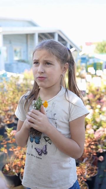  украла саженец! Мой новый трек Учат в школе с 28 августа на всех муз площадках актив pov врек
