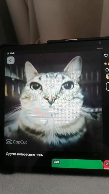 Сиреноголовый и котик