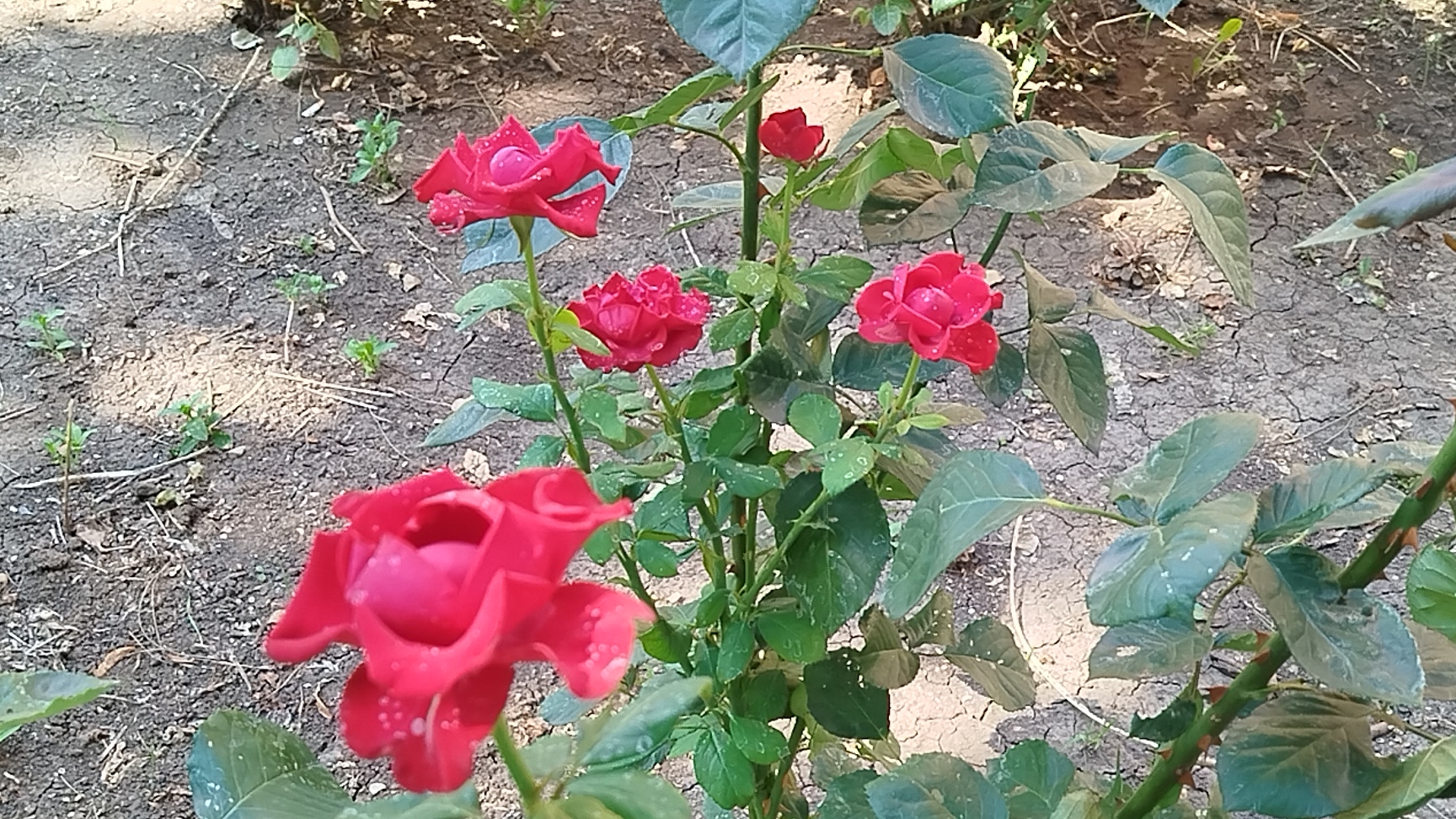 25-08-2026//Я к вам просто поболтать 😊