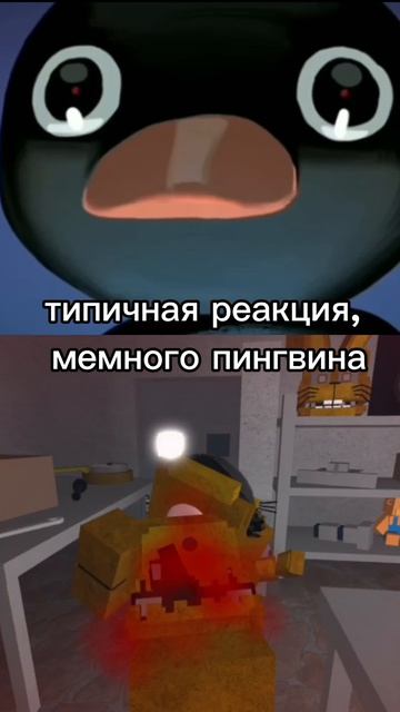 Типичная реакция, мемного пингвина, на мою смерть ⚰️ ☠️🤣🤣