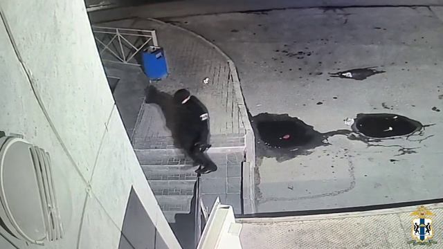 Сотрудниками полиции задержан житель Новосибирска, совершивший разбой ради погашения кредита на BMW