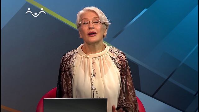 Информационно-аналитическая программа 