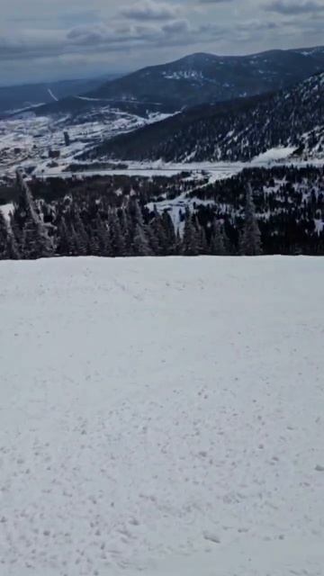2_5190517627037961039