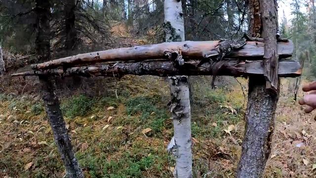 ДОСАДНЫЙ ПРОМАХ ПО МЕДВЕДЮ.ОШИБКИ НА ПРОШЛОЙ ОХОТЕ.ЖИЗНЬ В ТАЙГЕ.