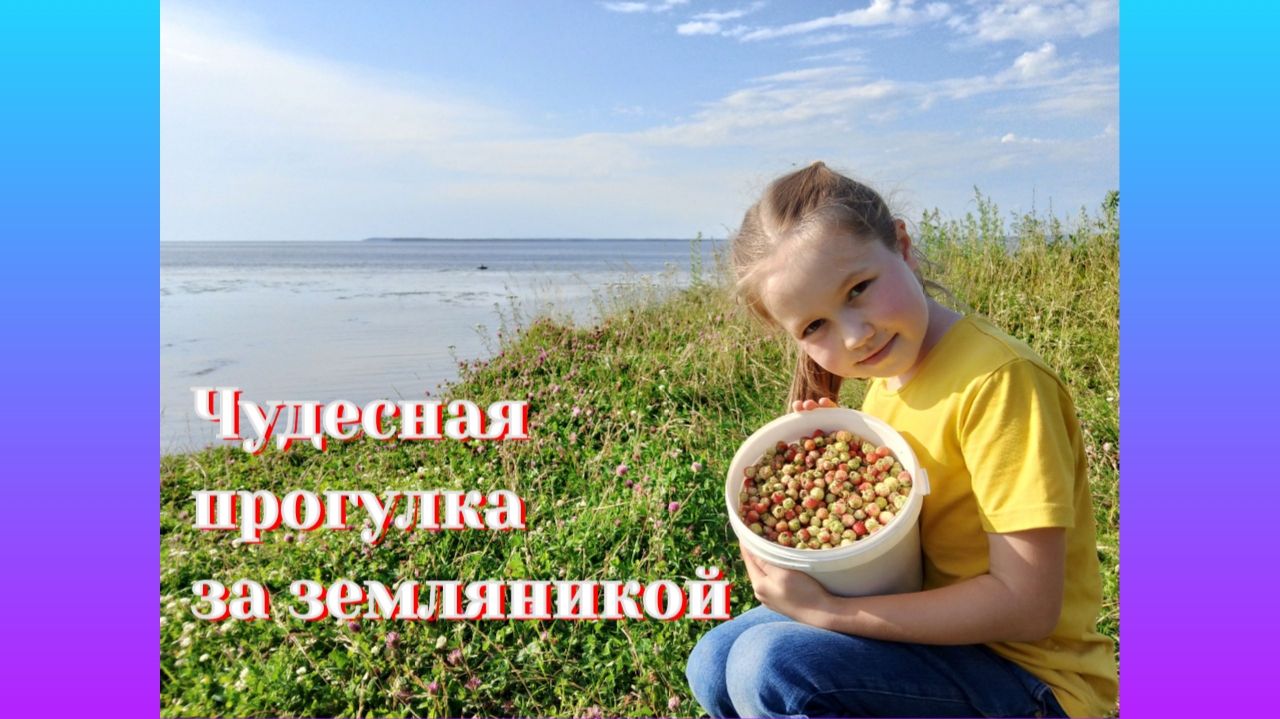 Чудесная прогулка за земляникой или как мы собираем землянику