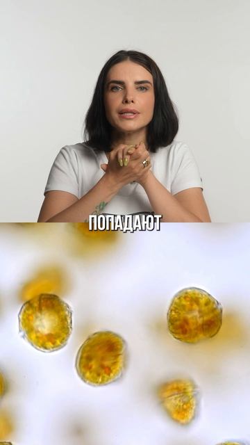 Зачем нужна справка в бассейн и есть ли бактерии, которые не убивает хлор