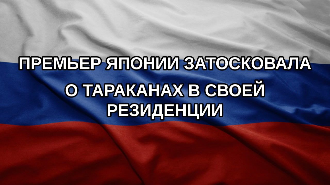 Премьер Японии затосковала о тараканах в своей резиденции