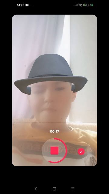 песня