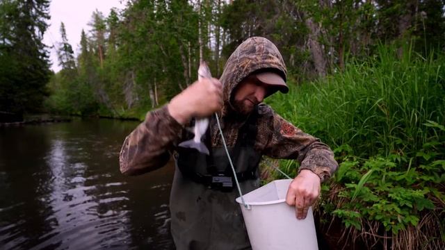 ЖИВУ В ИЗБЕ НА БЕРЕГУ ТАЁЖНОЙ РЕЧКИ. ЛОВЛЮ КРУПНОГО ХАРИУСА ДЛЯ ЕДЫ