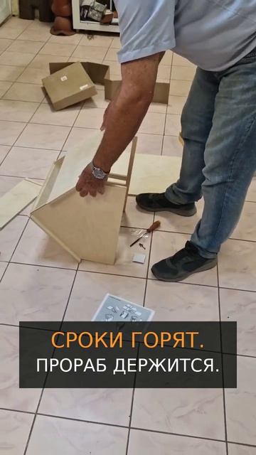 Попробуй сдай объект кошке 😂 Мася принимает новый дом