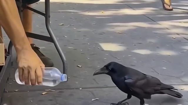 Он сказал, что хочет пить