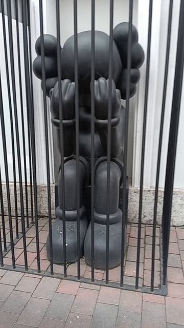 Бассет: SENO