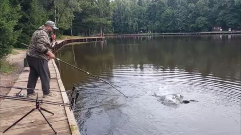 Утренний обзор с нижнего водоёма. Клёвое место Лосиный остров.