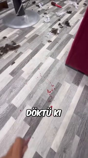 ЖЕСТЬ!!!!!!!
