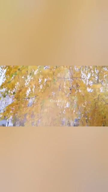 Совсем скоро! 🍂🍂🍂