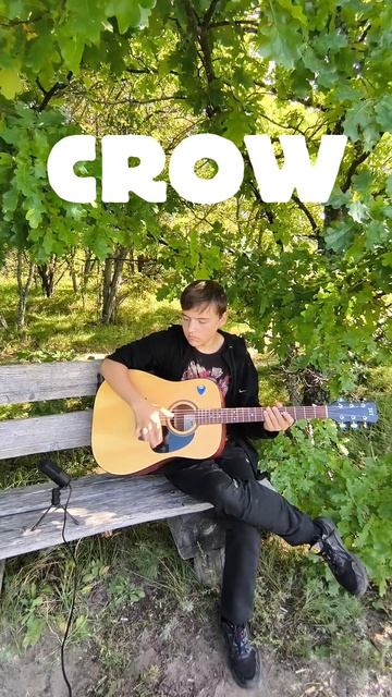 Ну просто CROW на гитаре