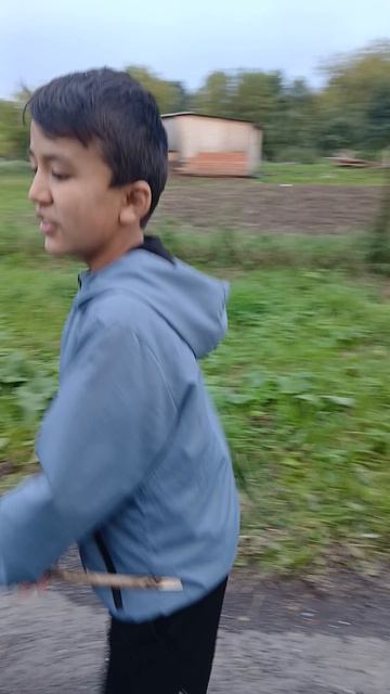Слово палки крапива на асвальте