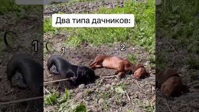 БЫВАЕТ