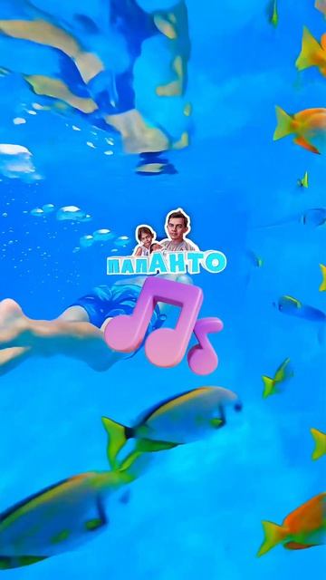 🎼👌🏻😃 выпускаем?